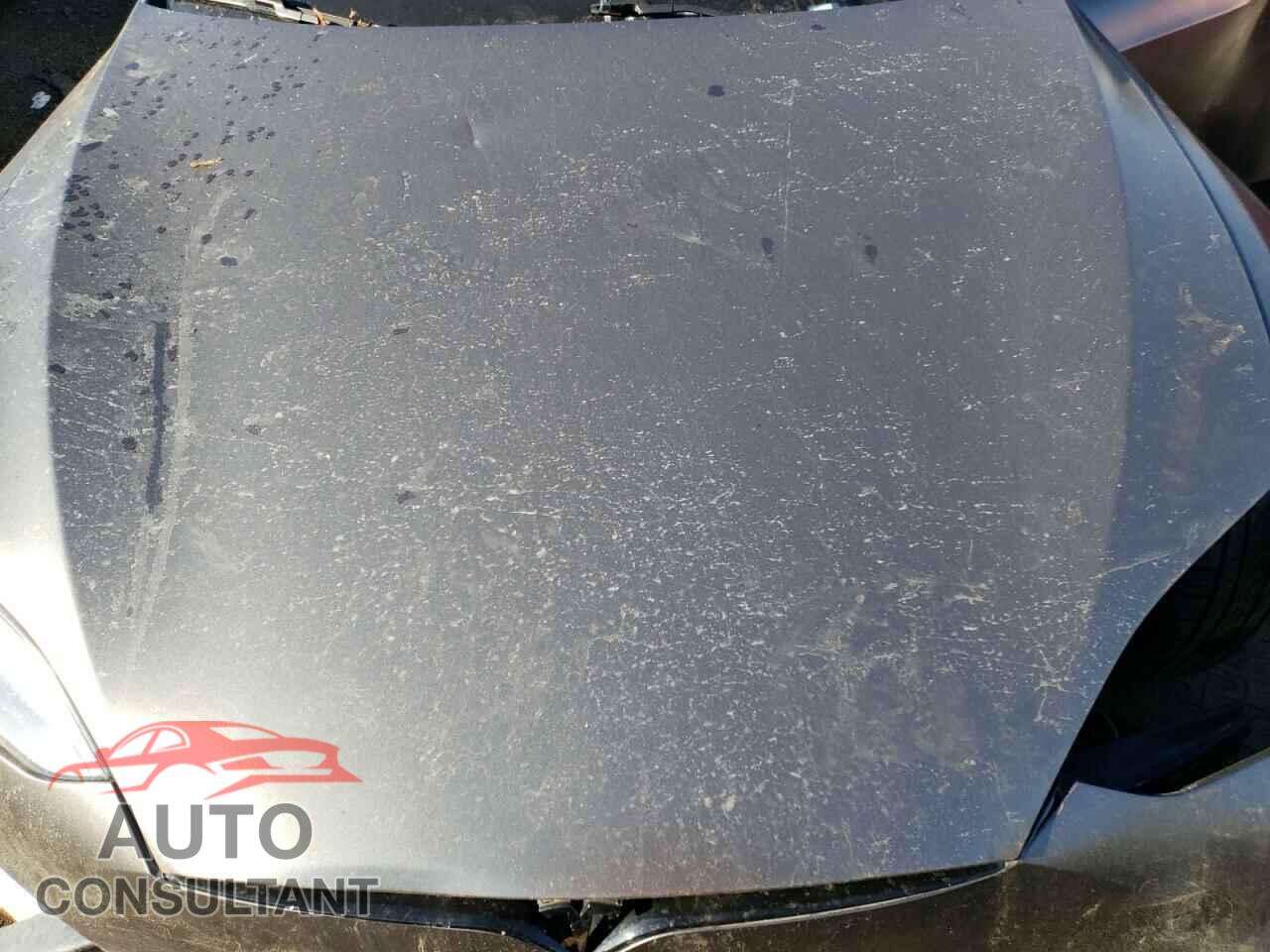 TESLA MODEL S 2017 - 5YJSA1E20HF229197