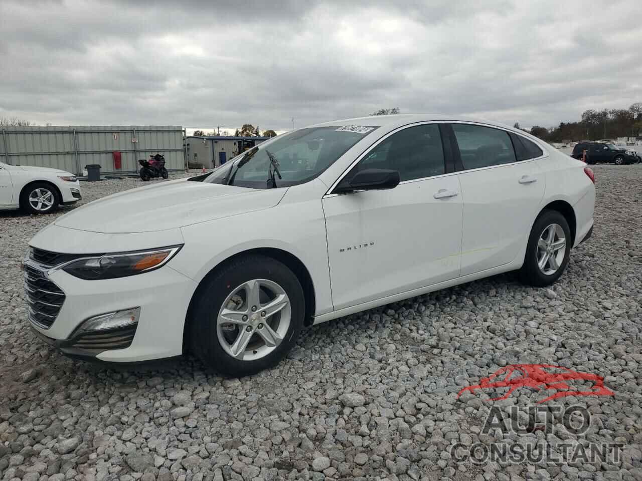 CHEVROLET MALIBU 2024 - 1G1ZC5STXRF210126