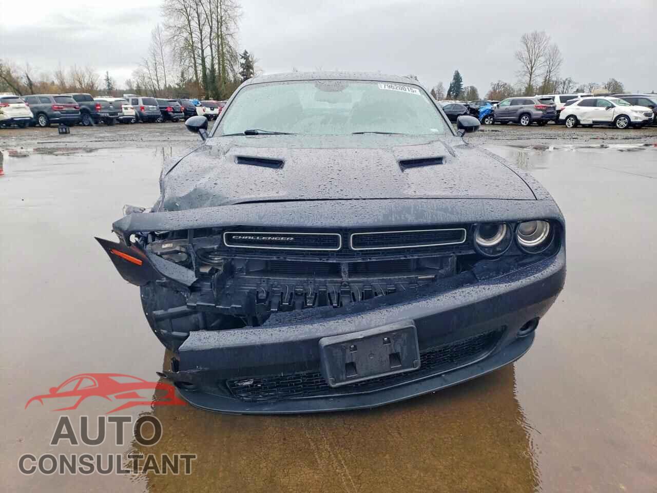 DODGE CHALLENGER 2019 - 2C3CDZAG3KH534730