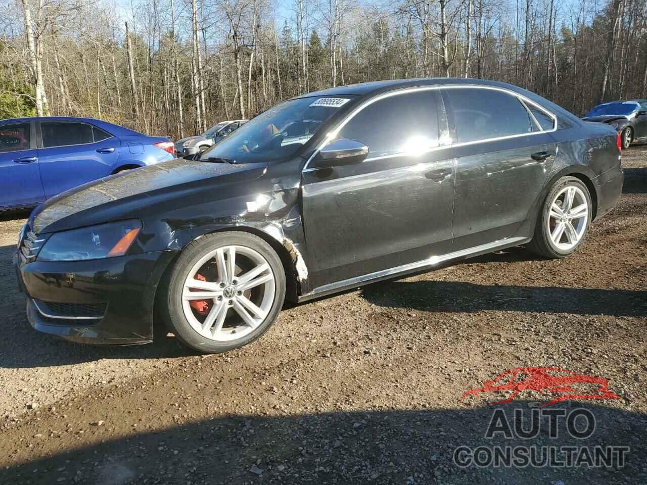 VOLKSWAGEN PASSAT 2012 - 1VWBM7A39CC044805
