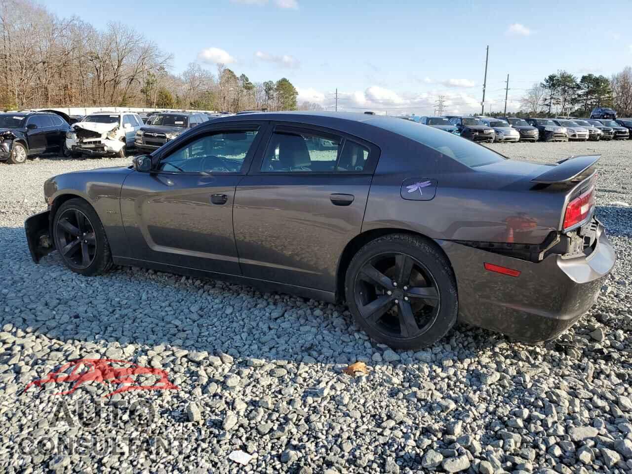 DODGE CHARGER 2014 - 2C3CDXCTXEH349254