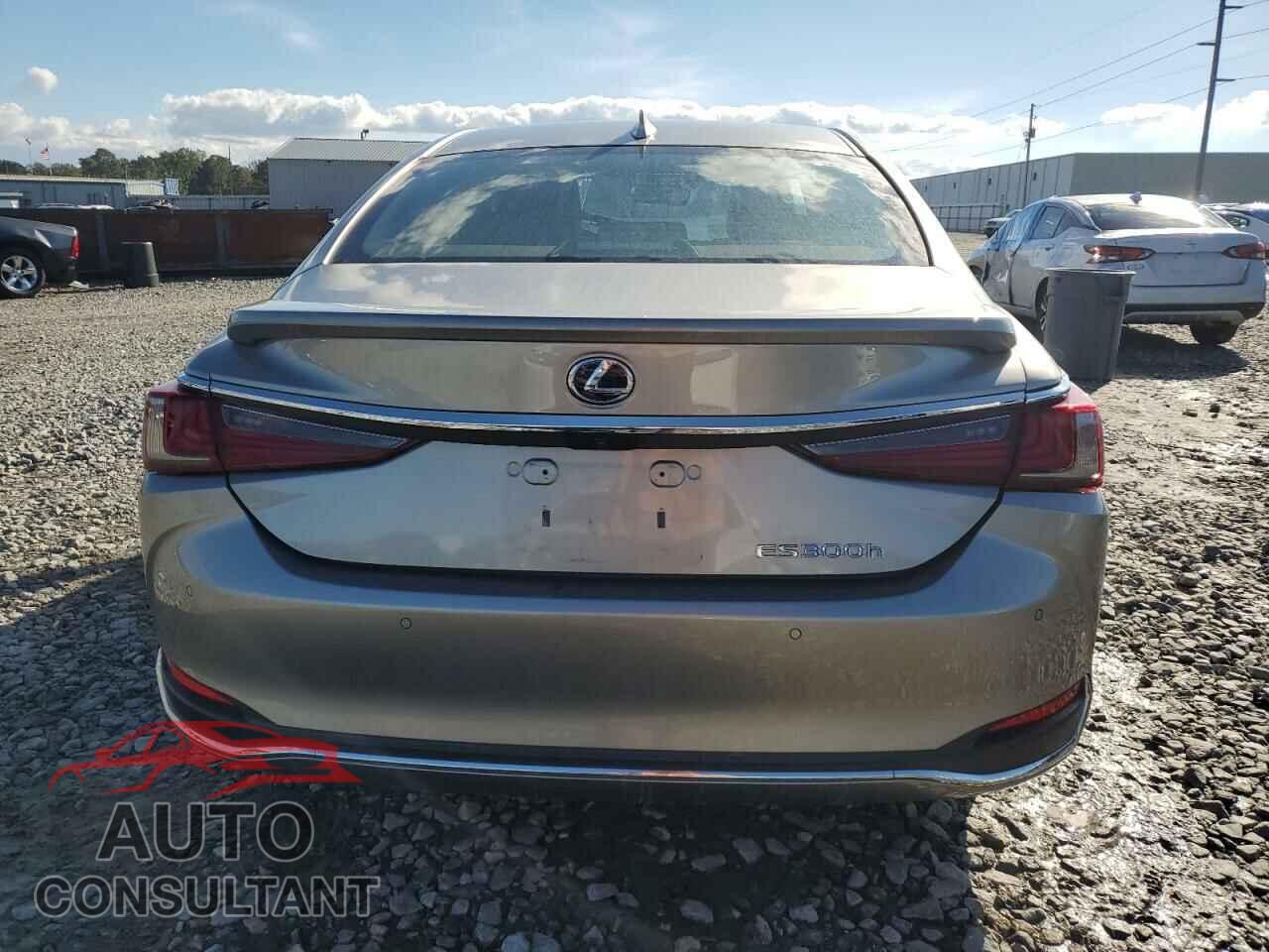 LEXUS ES300 2020 - 58AF21B13LU010085
