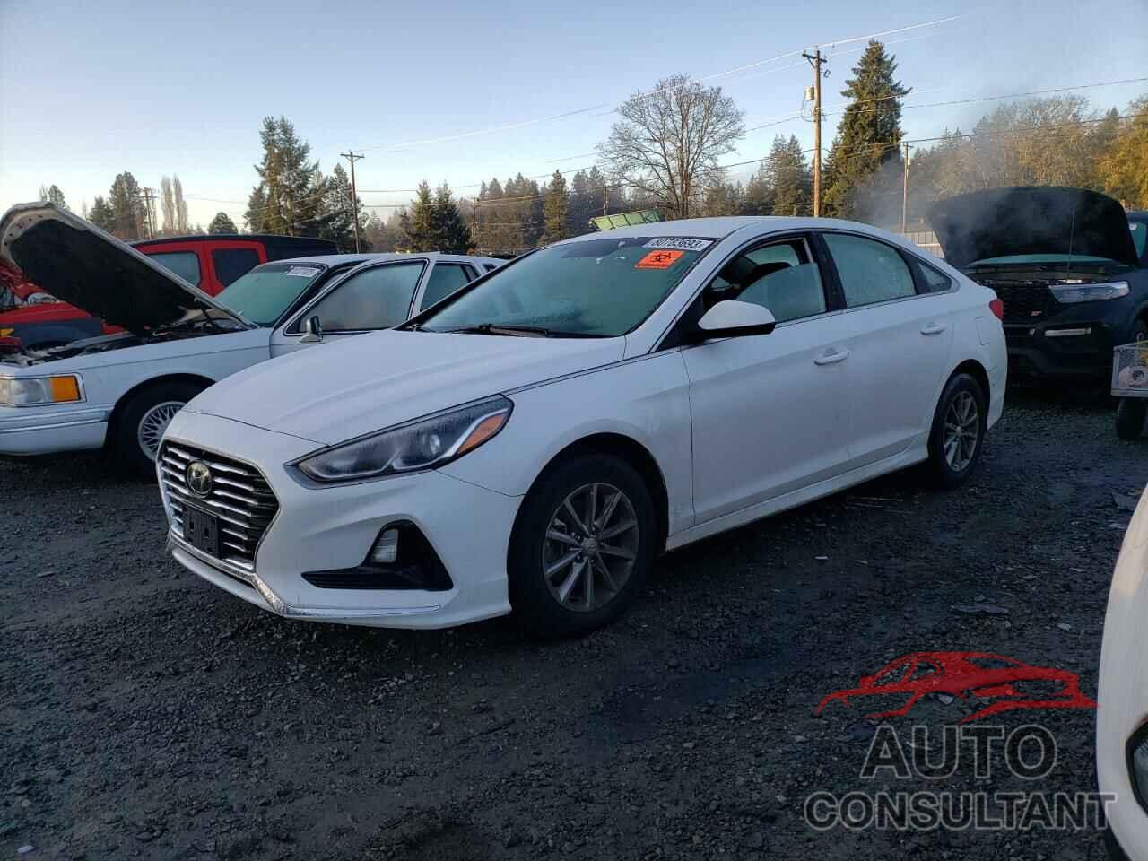 HYUNDAI SONATA 2019 - 5NPE24AF2KH736258