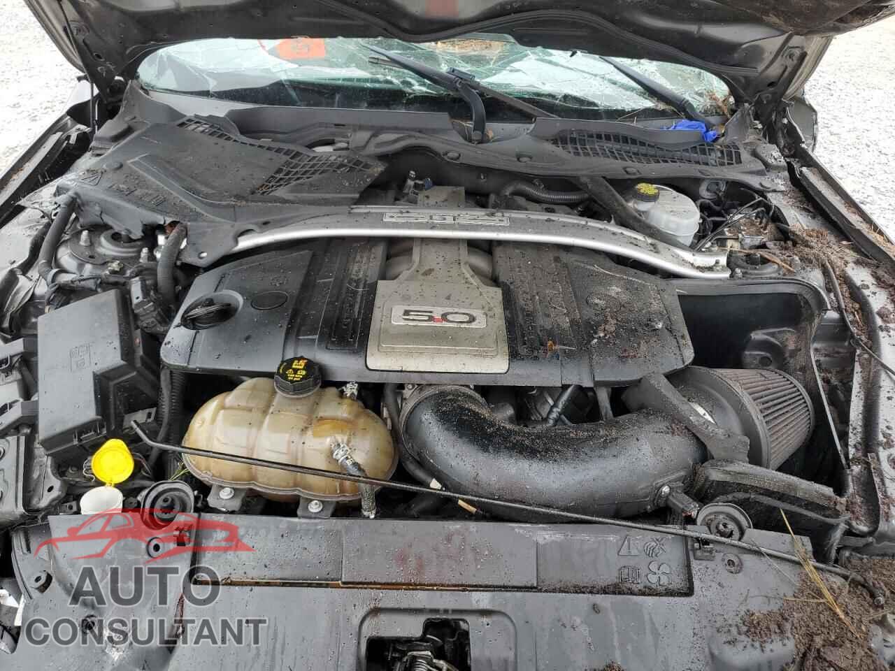 FORD MUSTANG 2018 - 1FA6P8CF0J5116779