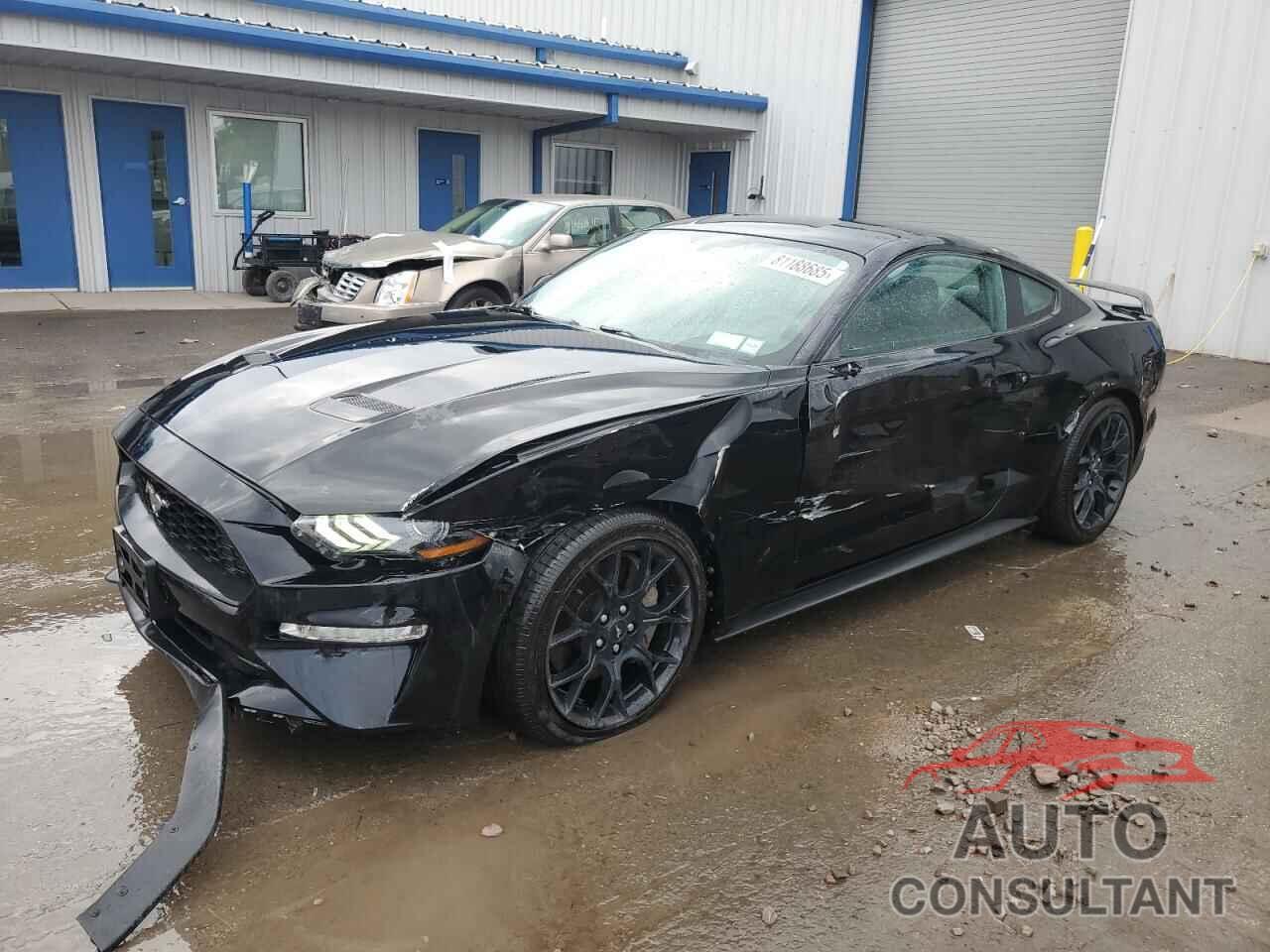 FORD ALL Models 2019 - 1FA6P8TH3K5198896