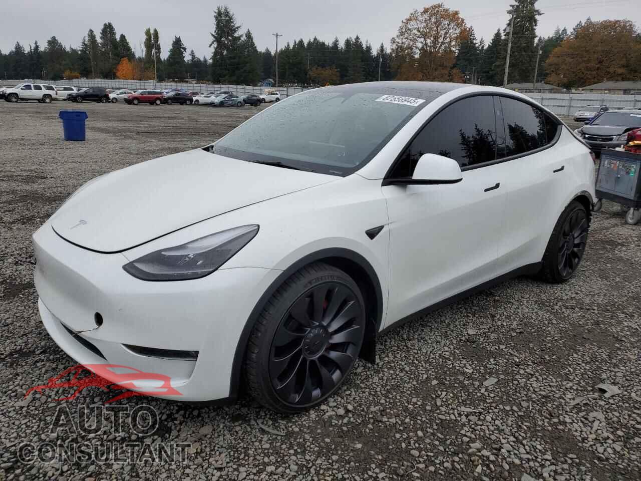 TESLA MODEL Y 2023 - 7SAYGDEF6PF876699