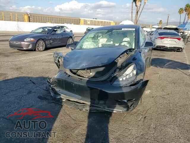 TESLA MODEL 3 2019 - 5YJ3E1EA1KF302097