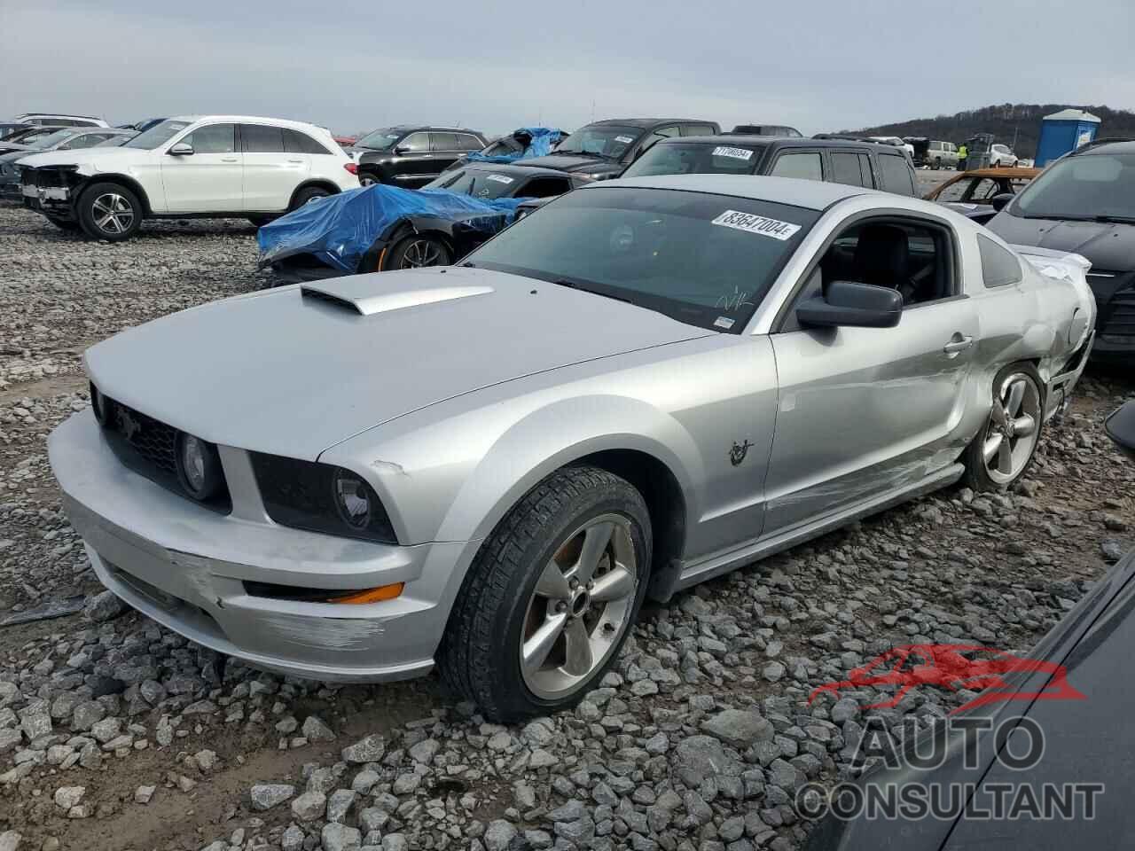 FORD MUSTANG 2009 - 1ZVHT82H495142425