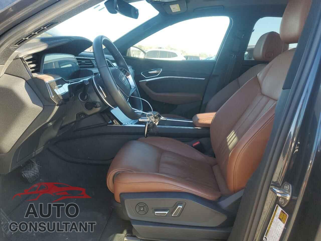 AUDI E-TRON 2019 - WA1VAAGE0KB022026