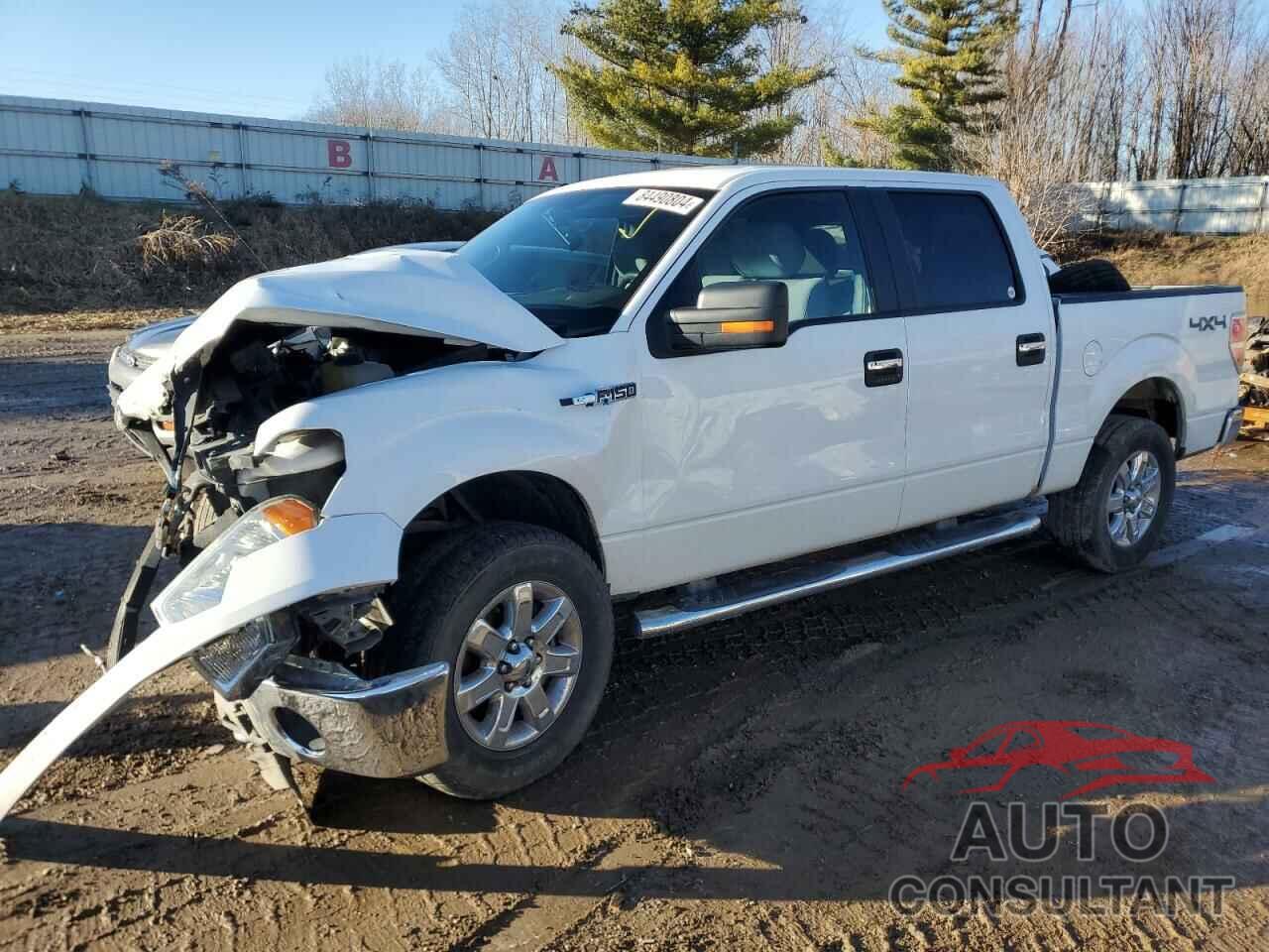 FORD F-150 2014 - 1FTFW1EF6EFA61675