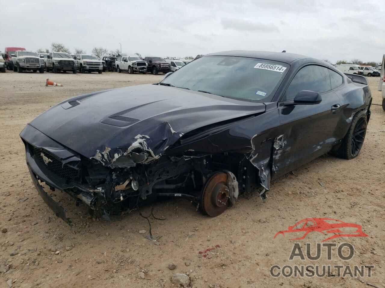 FORD MUSTANG 2021 - 1FA6P8CF7M5153123