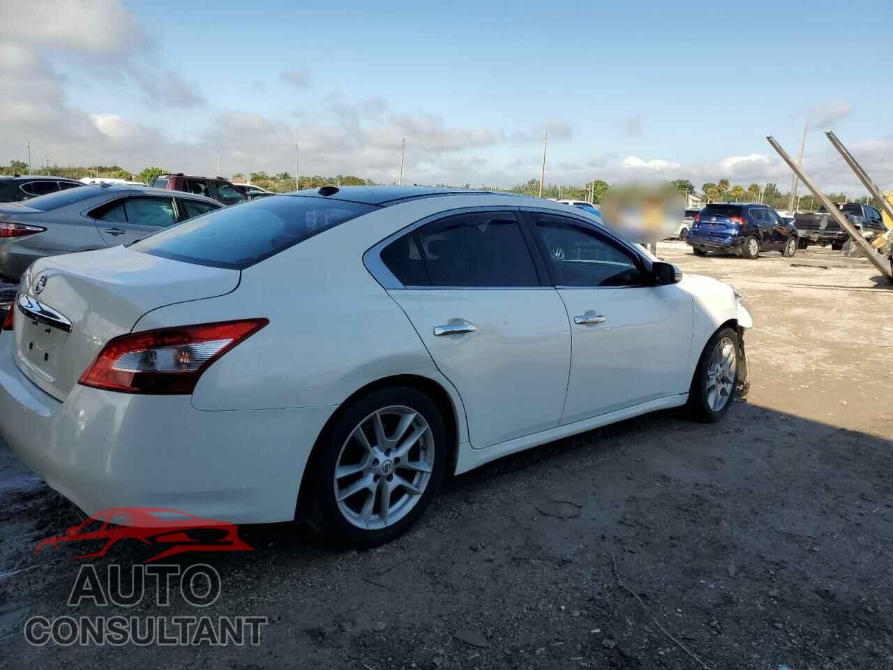 NISSAN MAXIMA 2011 - 1N4AA5AP1BC805376