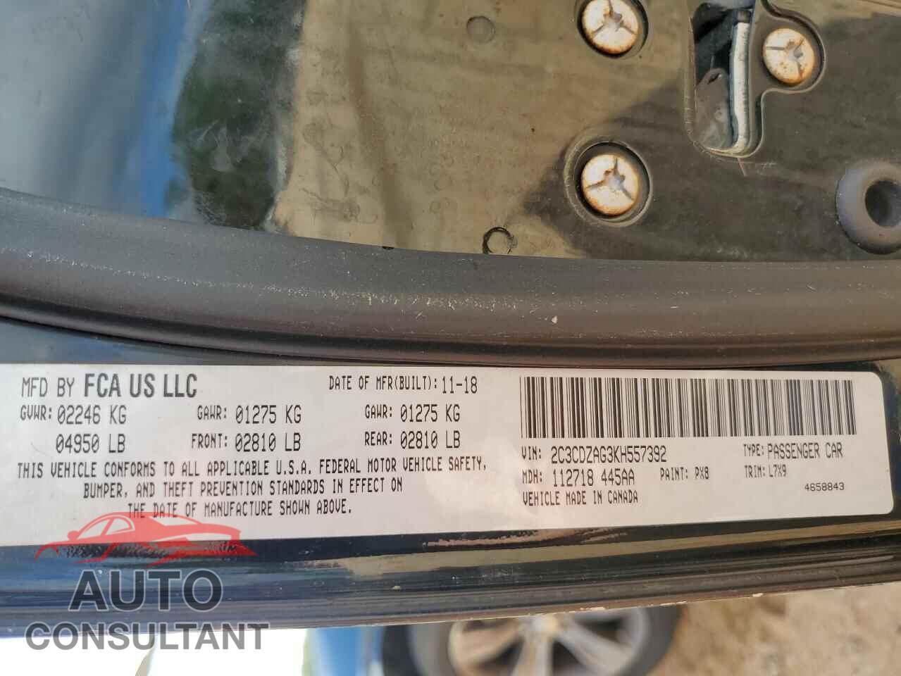 DODGE CHALLENGER 2019 - 2C3CDZAG3KH557392