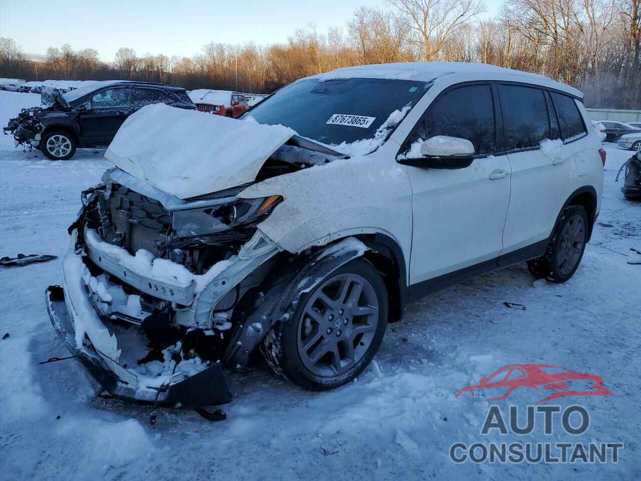HONDA PASSPORT 2023 - 5FNYF8H58PB011114
