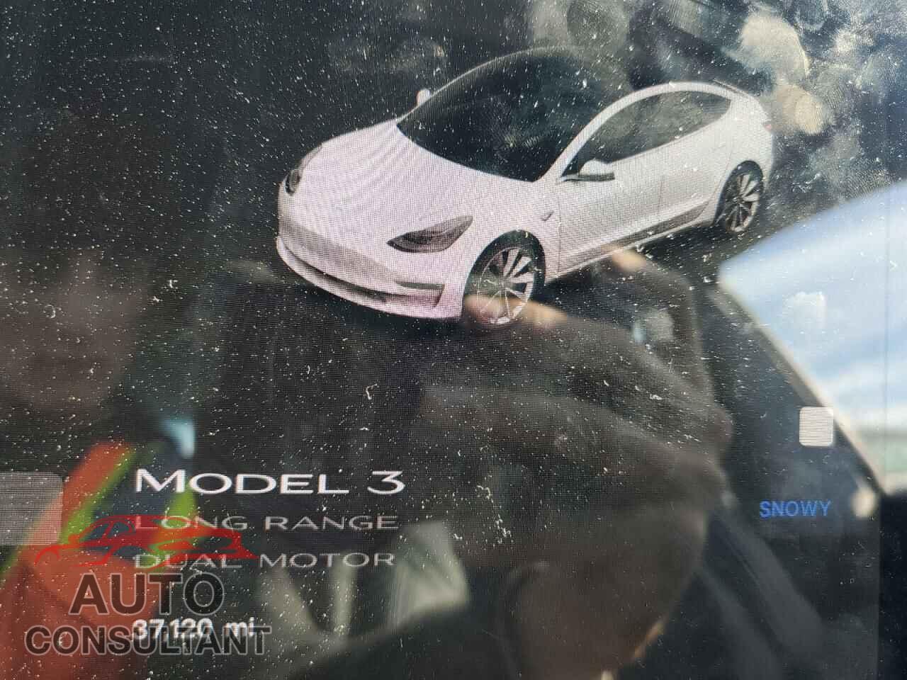 TESLA MODEL 3 2019 - 5YJ3E1EB0KF213016