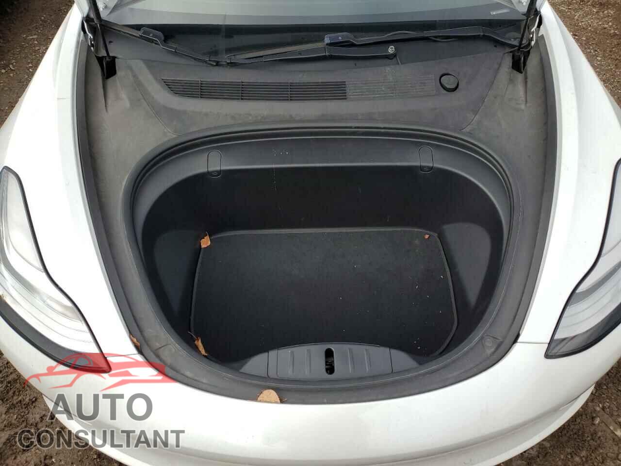 TESLA MODEL 3 2019 - 5YJ3E1EB0KF388317