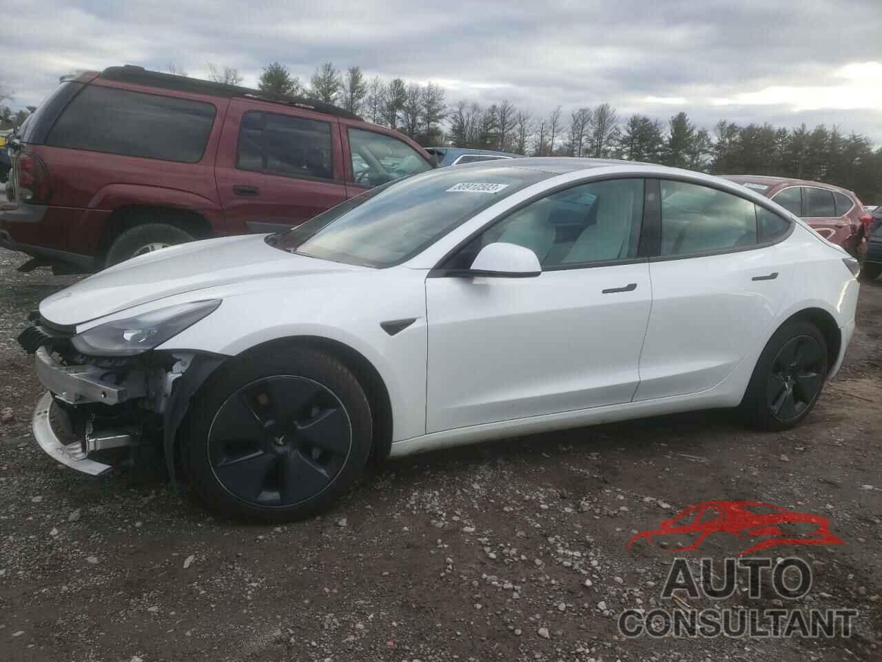 TESLA MODEL 3 2021 - 5YJ3E1EA2MF938840