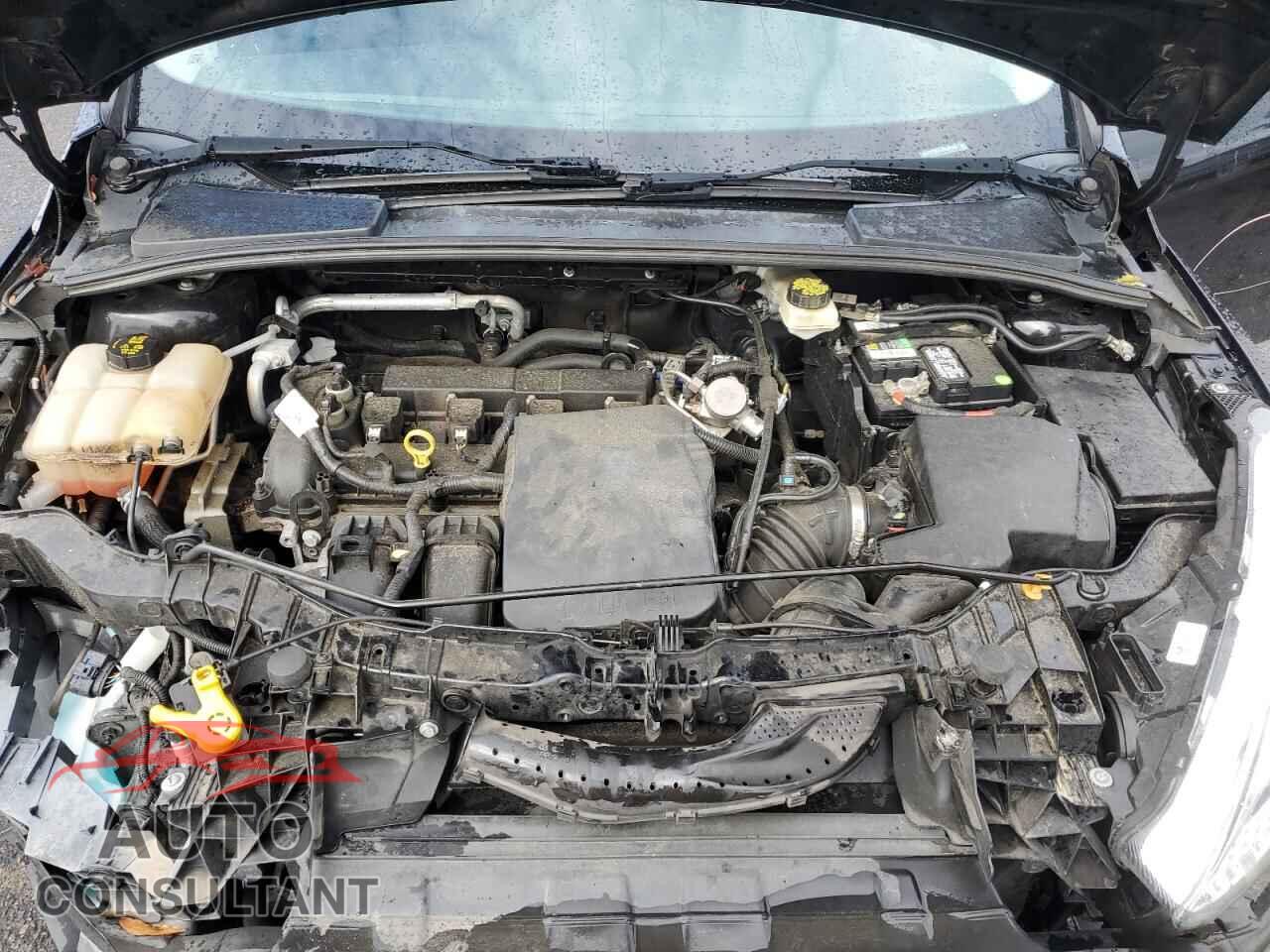 FORD FOCUS 2017 - 1FADP3K21HL241546