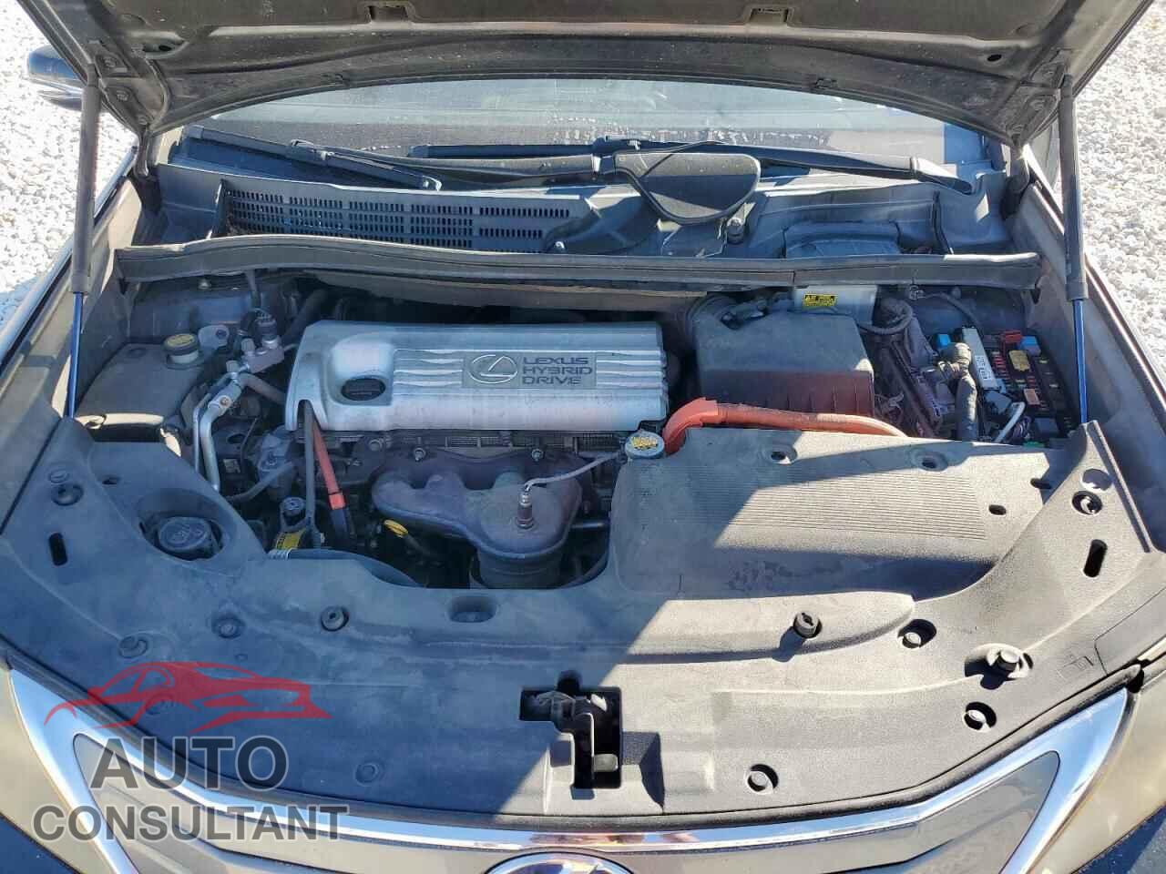 LEXUS HS 2010 - JTHBB1BA7A2028672