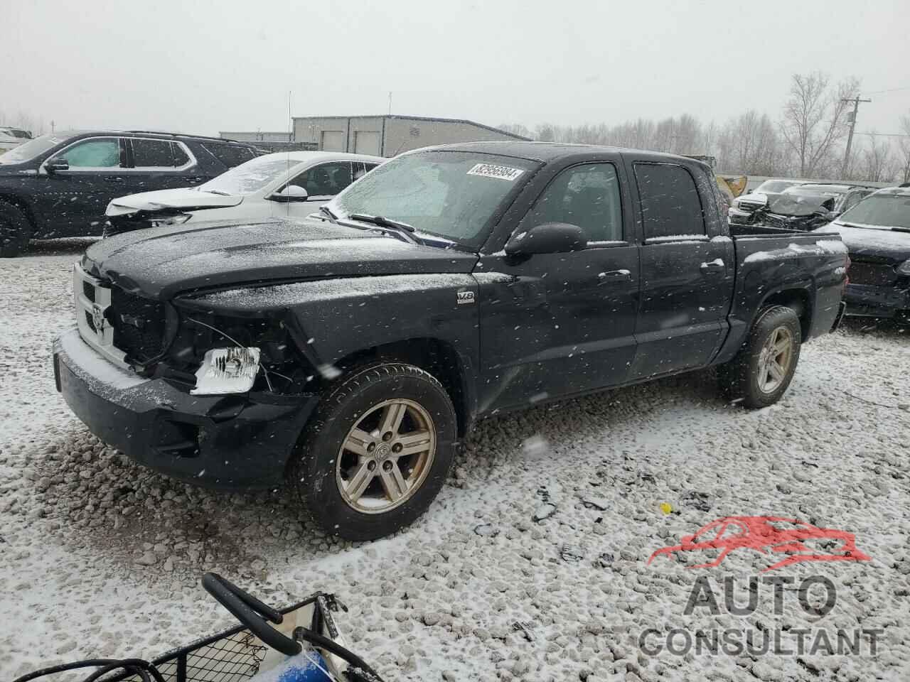 DODGE DAKOTA 2011 - 1D7RW3GP0BS638742