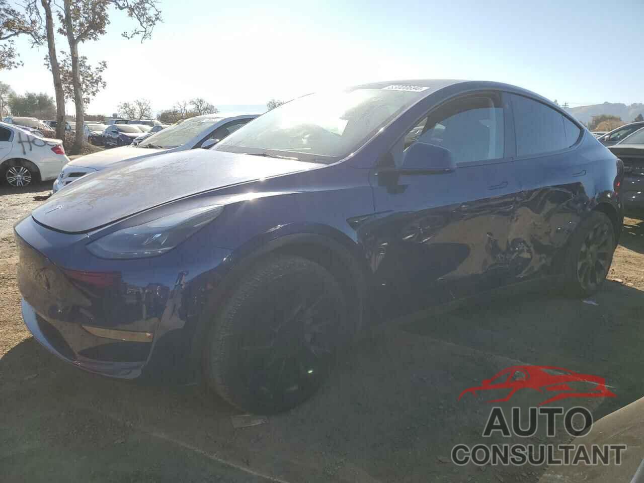 TESLA MODEL Y 2023 - 7SAYGDEE7PF676678