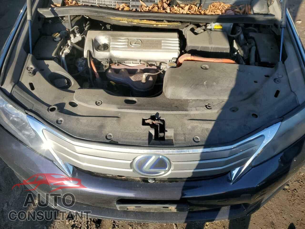 LEXUS HS 2010 - JTHBB1BA8A2018491