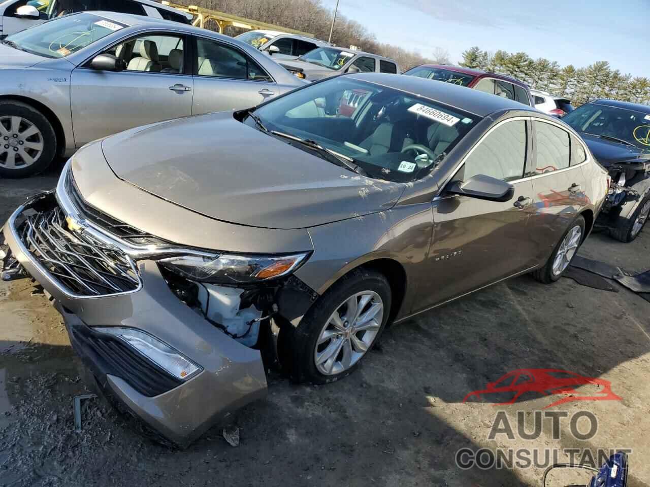 CHEVROLET MALIBU 2020 - 1G1ZD5ST6LF029903