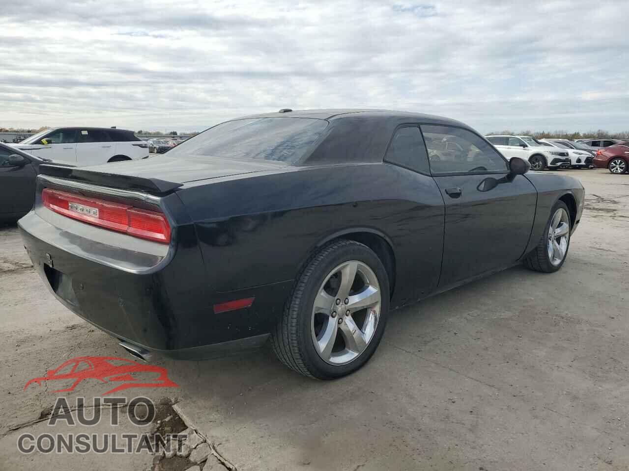 DODGE CHALLENGER 2013 - 2C3CDYAG3DH519691