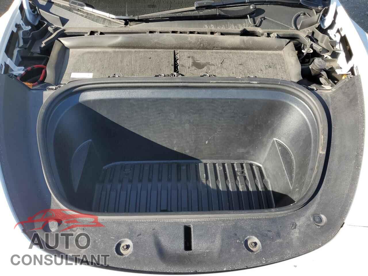 TESLA MODEL Y 2023 - LRWYGDFD2PC967392
