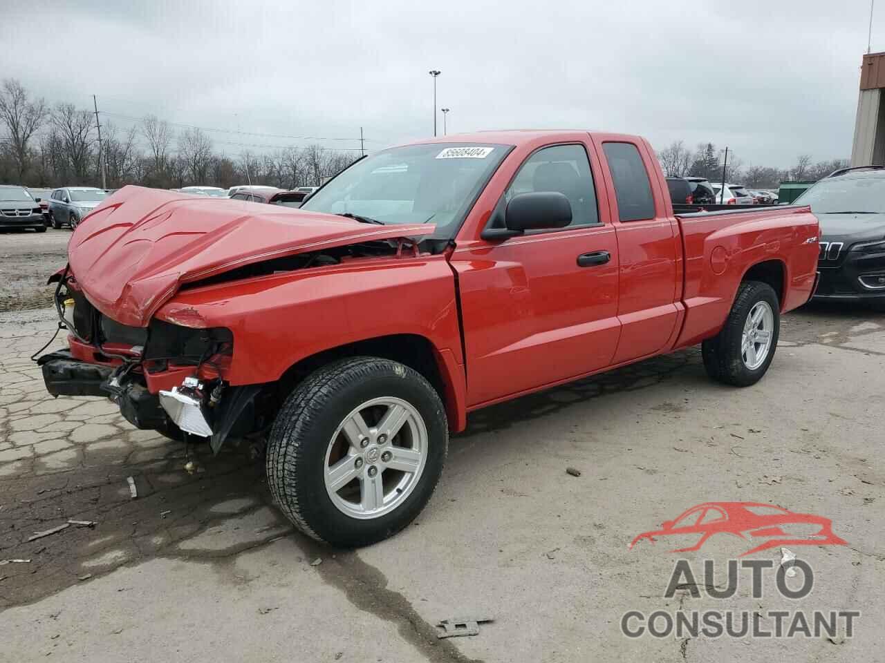DODGE DAKOTA 2011 - 1D7RW3BK5BS543332