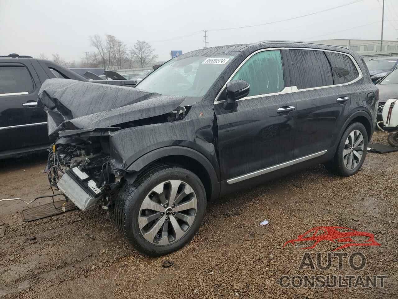 KIA TELLURIDE 2020 - 5XYP6DHC4LG053706