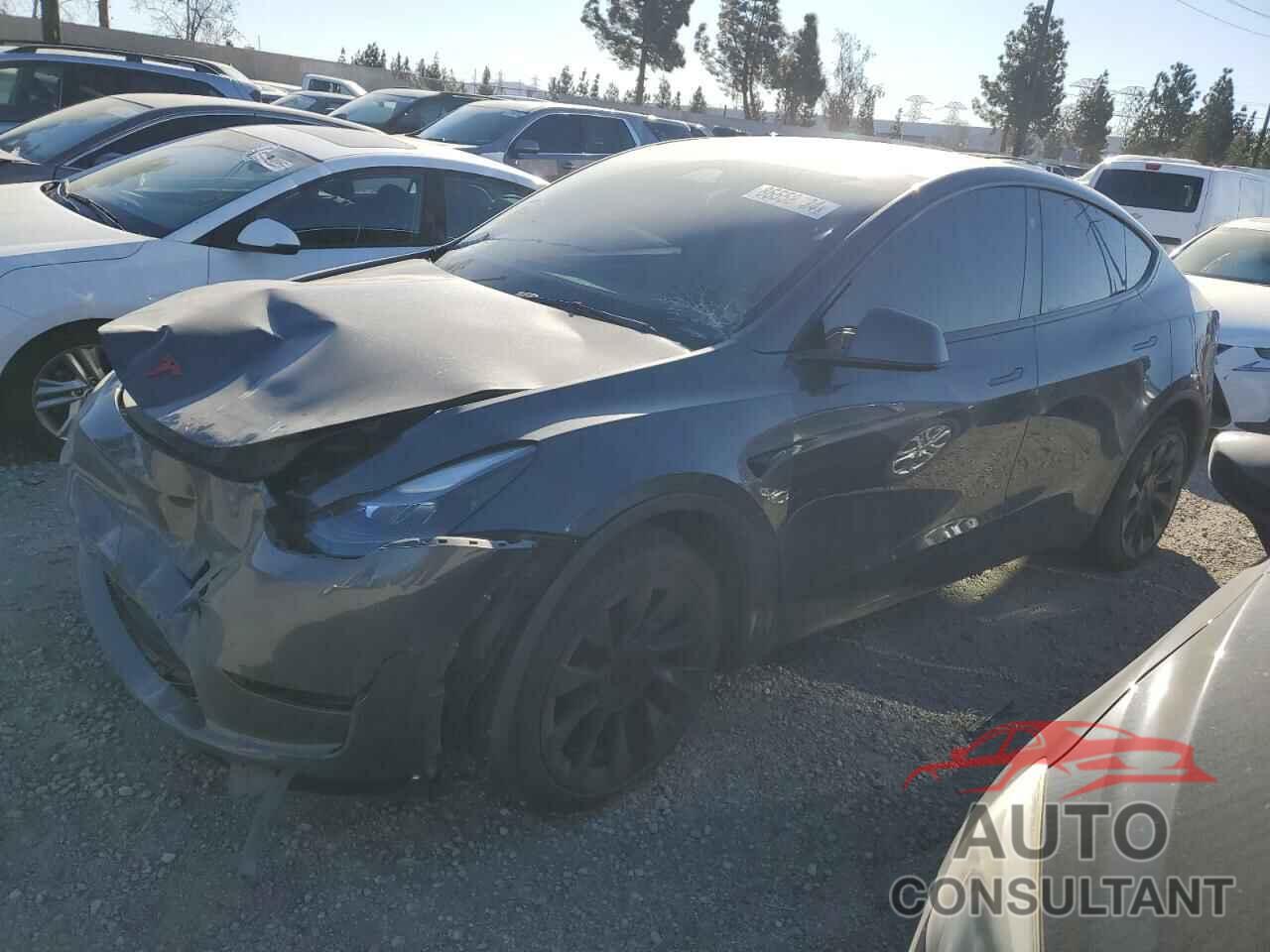 TESLA MODEL Y 2023 - 7SAYGDEE6PF872126