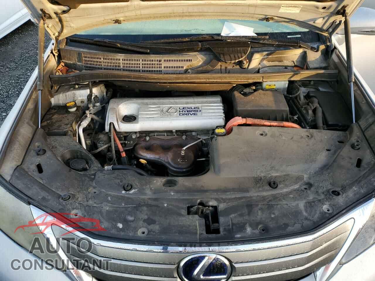 LEXUS HS 2010 - JTHBB1BA9A2010061