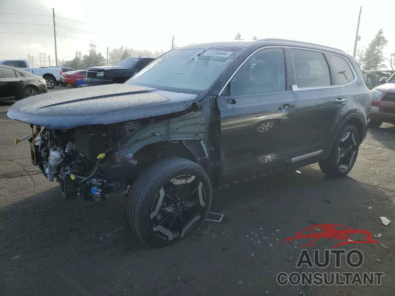 KIA TELLURIDE 2024 - 5XYP6DGC7RG461546