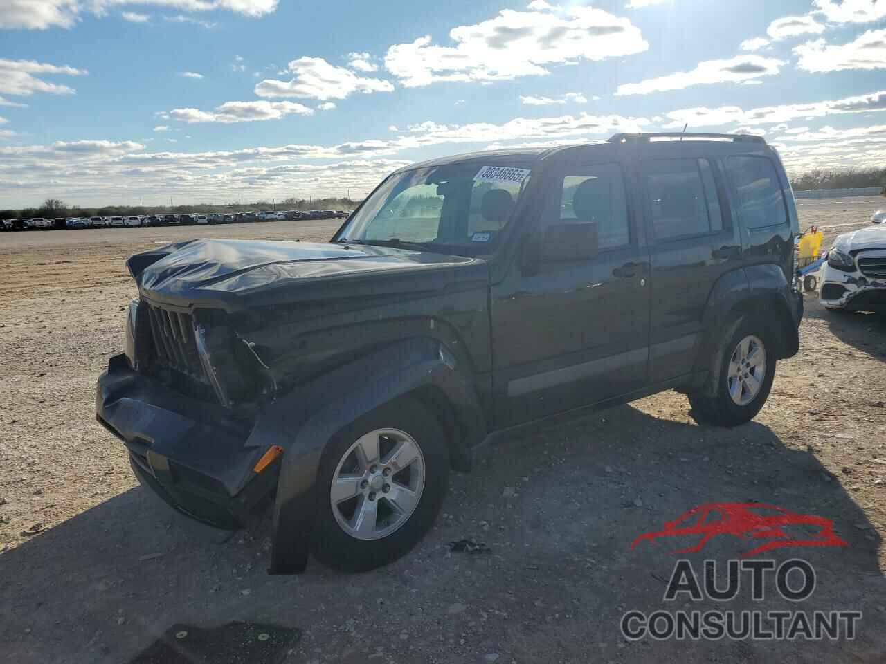 JEEP LIBERTY 2010 - 1J4PP2GK2AW154909