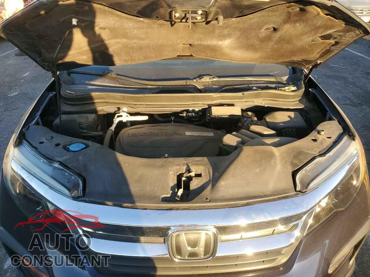 HONDA PILOT 2019 - 5FNYF5H31KB026799