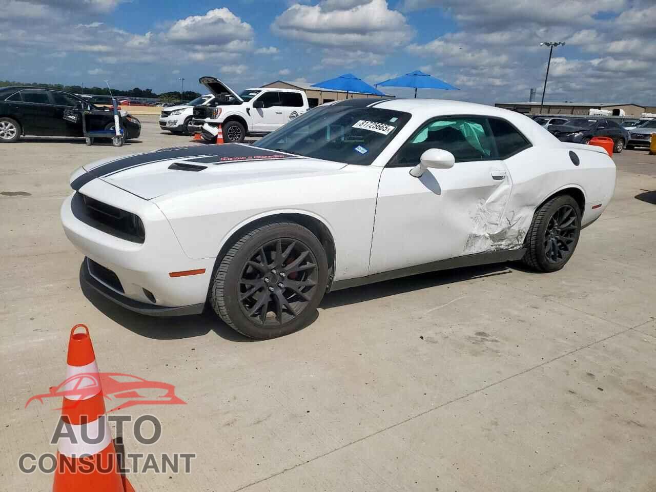 DODGE CHALLENGER 2019 - 2C3CDZAG8KH733451