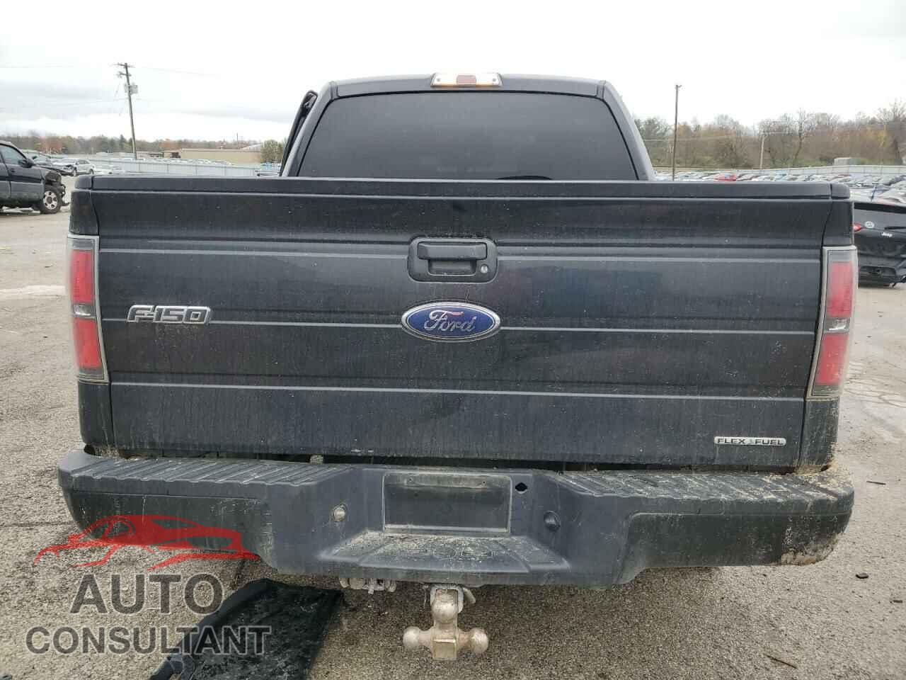 FORD F-150 2011 - 1FTFW1EF2BFA68313