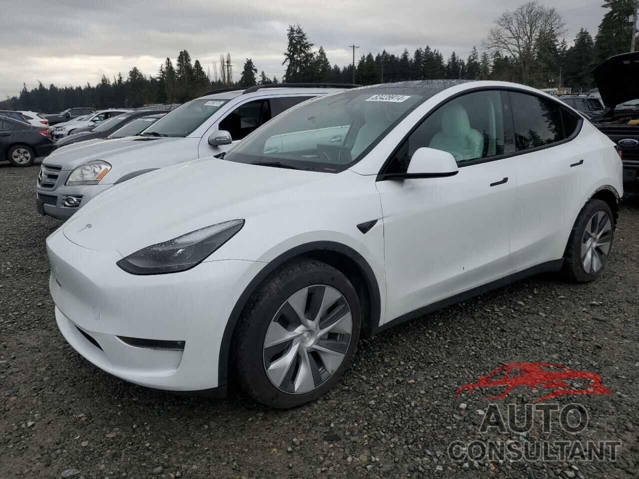 TESLA MODEL Y 2023 - 7SAYGAEE3PF811654