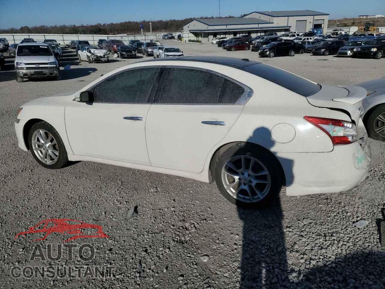 NISSAN MAXIMA 2011 - 1N4AA5AP1BC867912