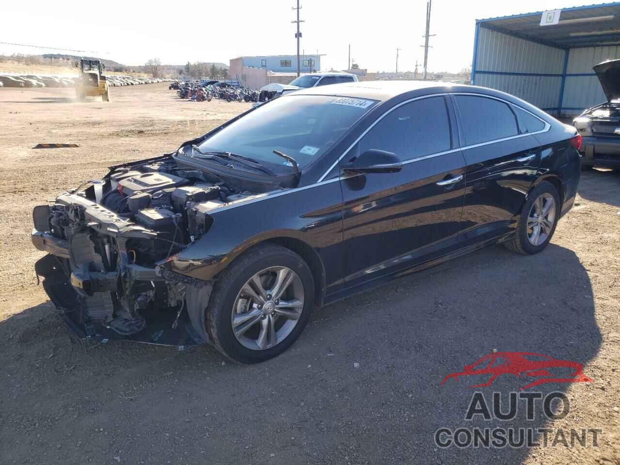 HYUNDAI SONATA 2019 - 5NPE34AF6KH811377