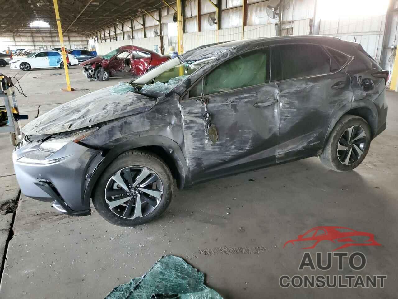 LEXUS NX 2020 - JTJGJRDZ0L2144419