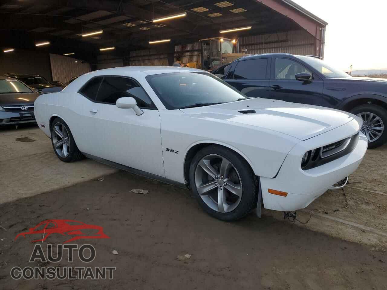 DODGE CHALLENGER 2013 - 2C3CDYAG3DH540315