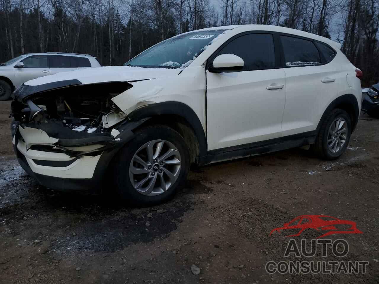 HYUNDAI TUCSON 2016 - KM8J23A42GU031640