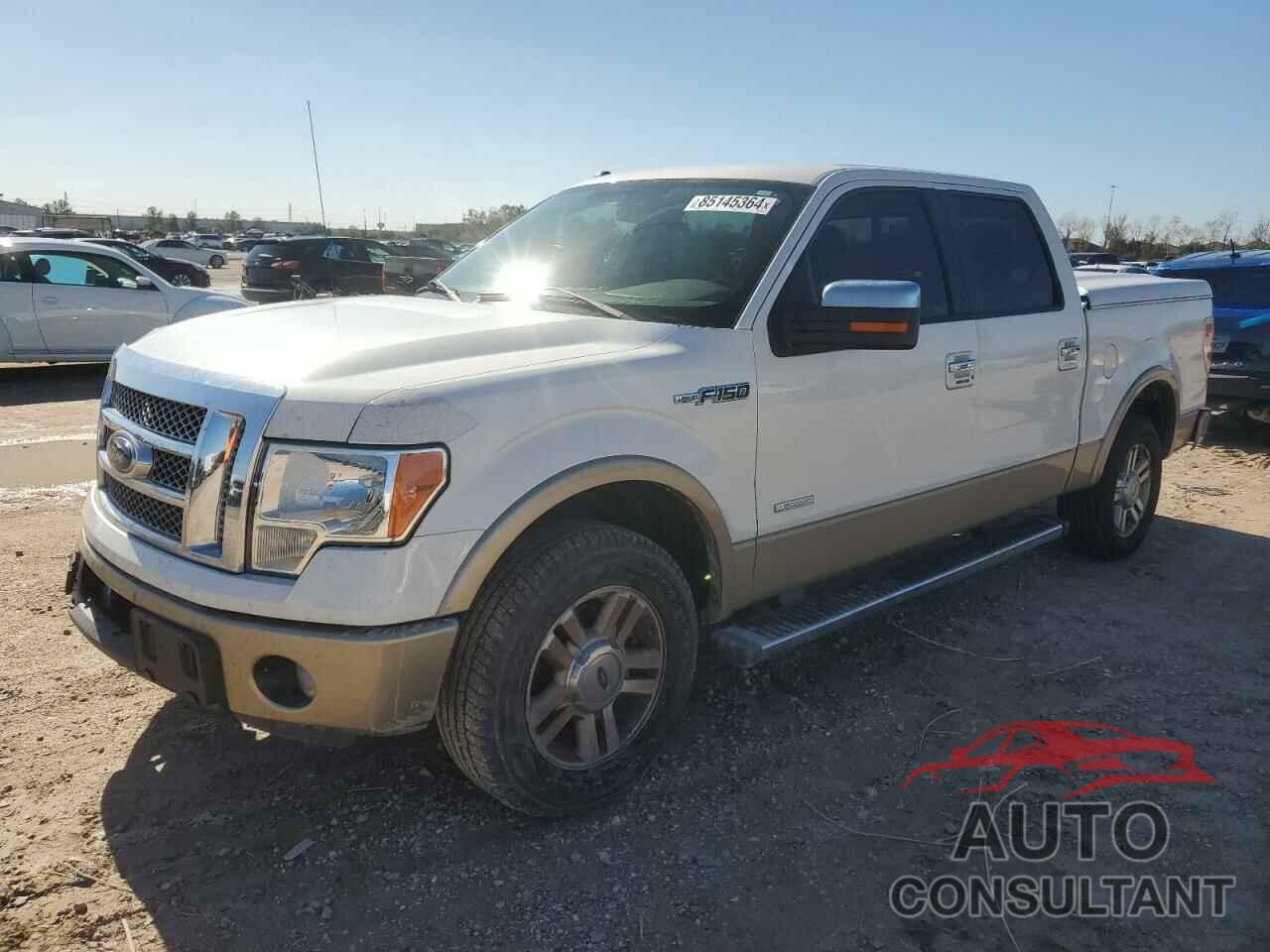 FORD F-150 2011 - 1FTFW1CTXBFC76528