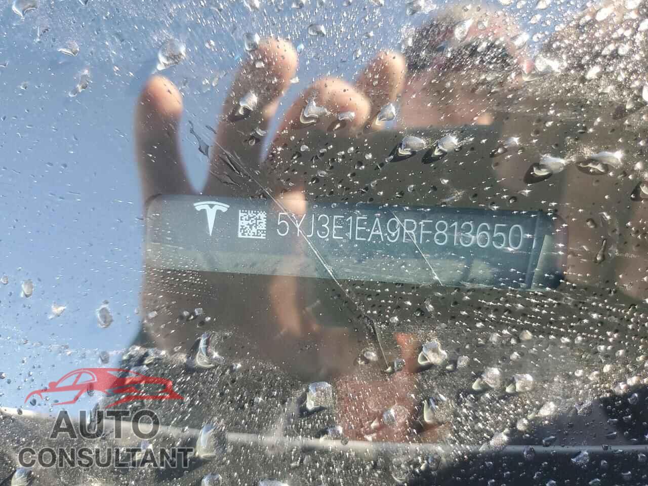 TESLA MODEL 3 2024 - 5YJ3E1EA9RF813650