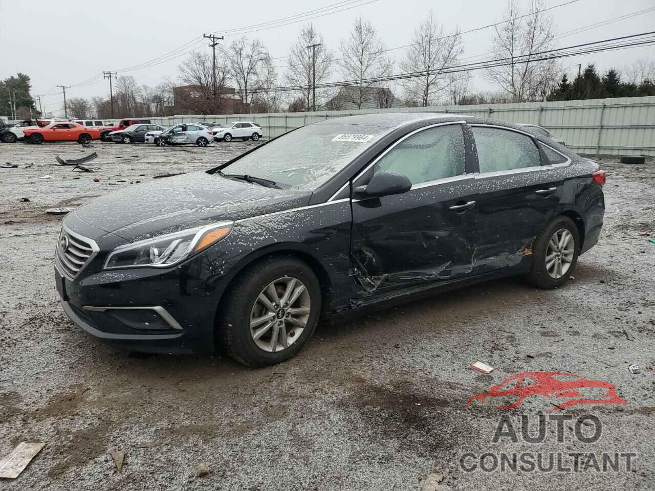 HYUNDAI SONATA 2016 - 5NPE24AF7GH355240