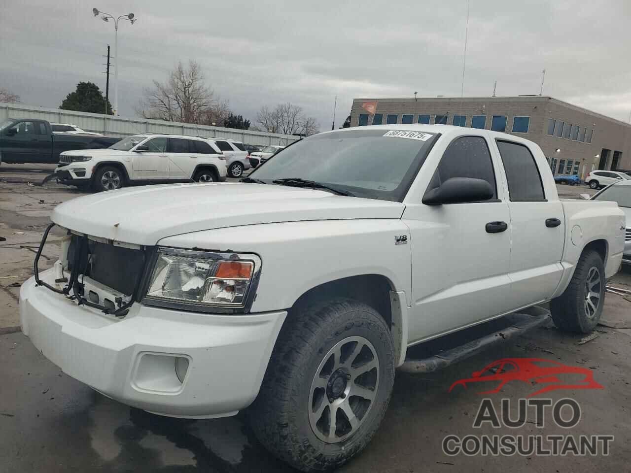 DODGE DAKOTA 2011 - 1D7RW3GP7BS638740