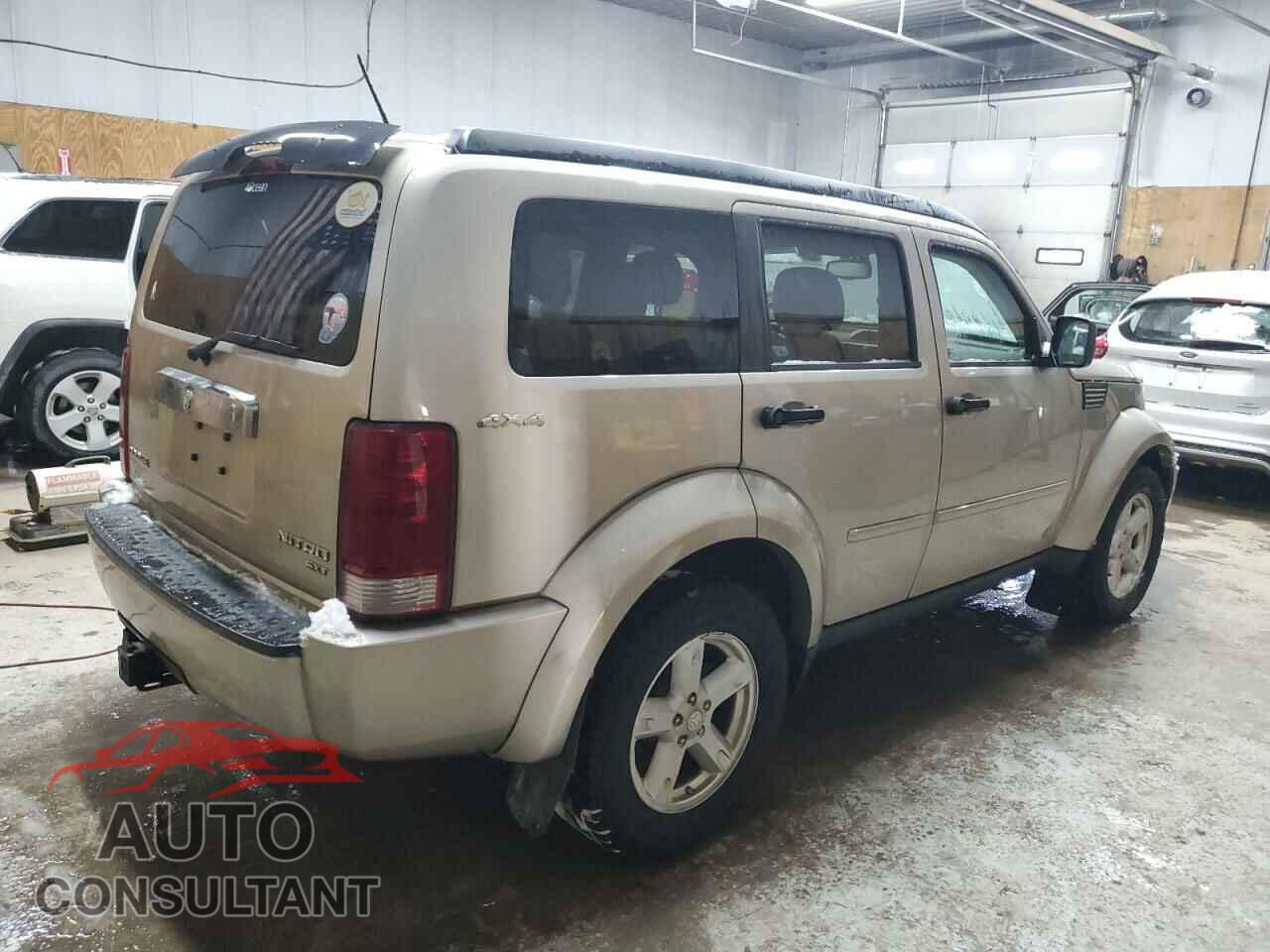 DODGE NITRO 2010 - 1D4PU5GK8AW124381