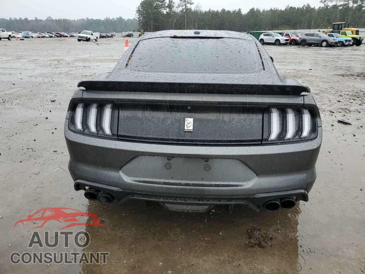 FORD MUSTANG 2019 - 1FA6P8CF2K5129213